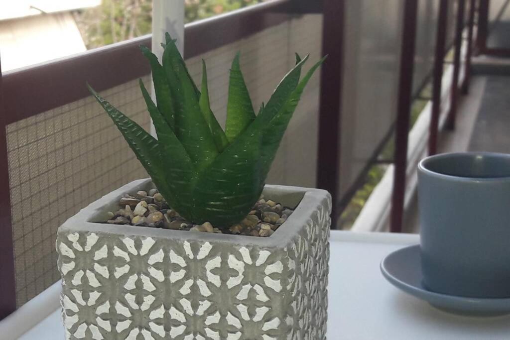 Apartamento Elegant & Charming Apt. In The Hilton Area Atenas Exterior foto